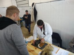 IMG_20181118_134728043